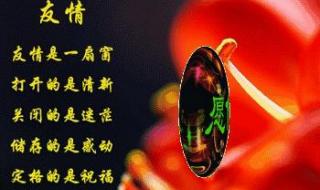 我好想有个知心朋友 我好想有个知心朋友