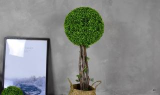 橱窗推荐是什么意思