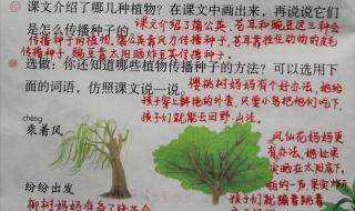 植物妈妈有办法课文