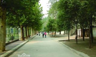 西安电力高等专科 西安电力高等专科