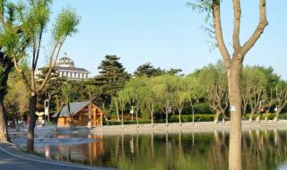 长春动植物公园门票 长春动植物公园门票