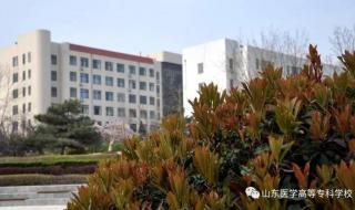 山东医学高等学校