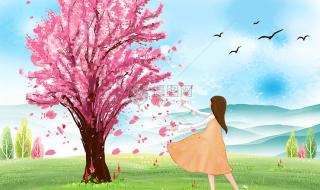 在微信上一天可以发多少个加好友的请求 qq一天能加多少好友