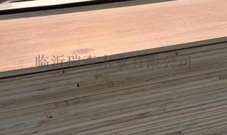 杨木胶合板 杨木胶合板