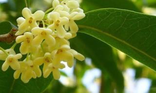 一场秋雨一场凉 一场秋雨一场凉