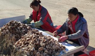 山东省国家级贫困县 山东省国家级贫困县