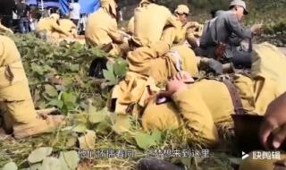 横店影视城群众演员 横店影视城群众演员