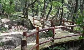 五一假期的小美好 五一假期的小美好