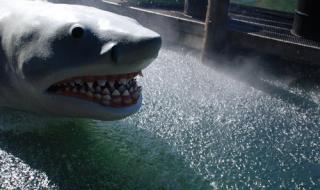 洛冰河把沈清秋做到哭 洛冰河把沈清秋做到哭