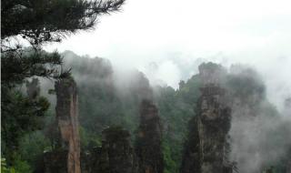 张家界最好导游推荐 张家界自由行导游