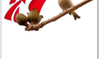 如何才能收看广东南方卫视 怎么收看广东南方卫视TVS2