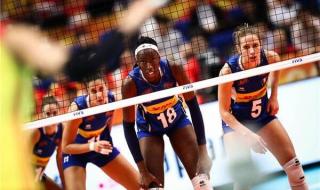 女排世界杯最新消息 女排世界杯最新消息