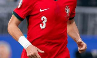 佩佩退出葡萄牙国家队 佩佩退出葡萄牙国家队